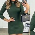 Women's long puff sleeve short turtleneck blogger dress