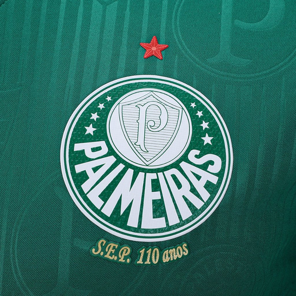 Camisa do Palmeiras 2024/2025 Camiseta de Time Tailandesa