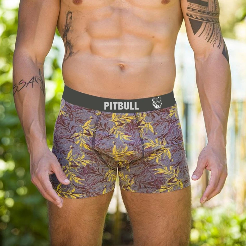 8 Cuecas Boxer Original PitBull Masculina - Coeca box  Masculino